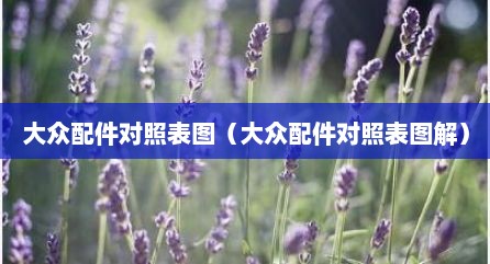 大众配件对照表图（大众配件对照表图解）