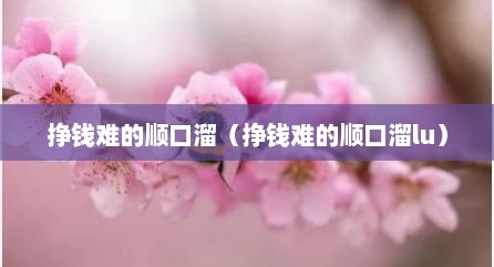 挣钱难的顺口溜（挣钱难的顺口溜lu）
