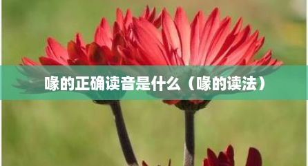 喙的正确读音是什么（喙的读法）