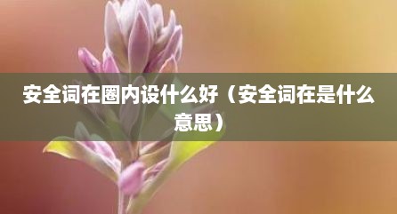 安全词在圈内设什么好（安全词在是什么意思）