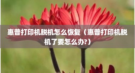 惠普打印机脱机怎么恢复（惠普打印机脱机了要怎么办?）