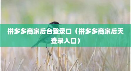 拼多多商家后台登录口（拼多多商家后天登录入口）