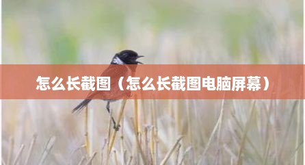 怎么长截图（怎么长截图电脑屏幕）