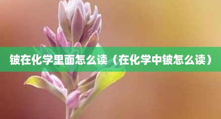 铍在化学里面怎么读（在化学中铍怎么读）