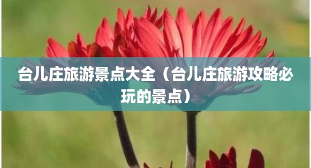 台儿庄旅游景点大全（台儿庄旅游攻略必玩的景点）