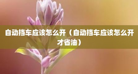 自动挡车应该怎么开（自动挡车应该怎么开才省油）