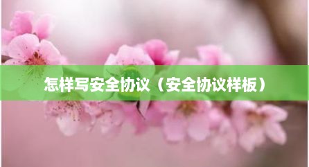 怎样写安全协议（安全协议样板）