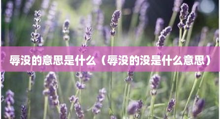 辱没的意思是什么（辱没的没是什么意思）