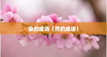 染的成语（然的成语）