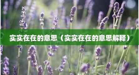 实实在在的意思（实实在在的意思解释）
