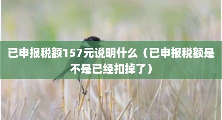 已申报税额157元说明什么（已申报税额是不是已经扣掉了）
