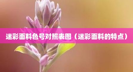 迷彩面料色号对照表图（迷彩面料的特点）