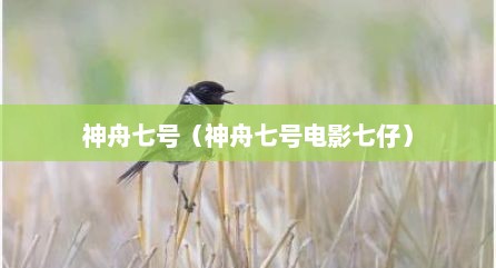 神舟七号（神舟七号电影七仔）