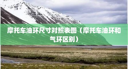 摩托车油环尺寸对照表图（摩托车油环和气环区别）