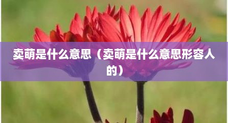 卖萌是什么意思（卖萌是什么意思形容人的）