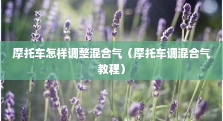 摩托车怎样调整混合气（摩托车调混合气教程）