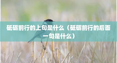 砥砺前行的上句是什么（砥砺前行的后面一句是什么）