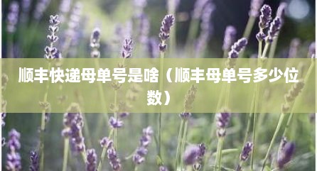 顺丰快递母单号是啥（顺丰母单号多少位数）