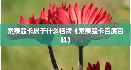 索泰显卡属于什么档次（索泰显卡百度百科）