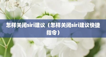 怎样关闭siri建议（怎样关闭siri建议快捷指令）