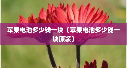 苹果电池多少钱一块（苹果电池多少钱一块原装）