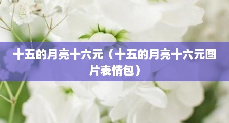 十五的月亮十六元（十五的月亮十六元图片表情包）