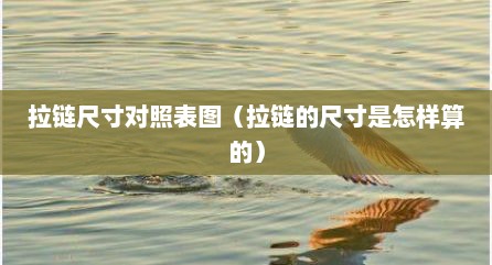 拉链尺寸对照表图（拉链的尺寸是怎样算的）
