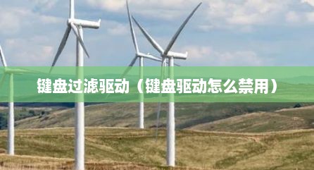 键盘过滤驱动（键盘驱动怎么禁用）