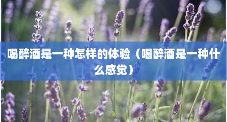 喝醉酒是一种怎样的体验（喝醉酒是一种什么感觉）