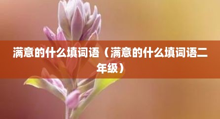 满意的什么填词语（满意的什么填词语二年级）