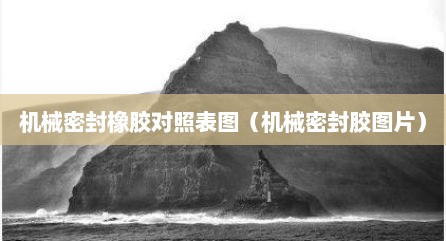 机械密封橡胶对照表图（机械密封胶图片）