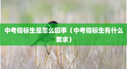 中考指标生是怎么回事（中考指标生有什么要求）
