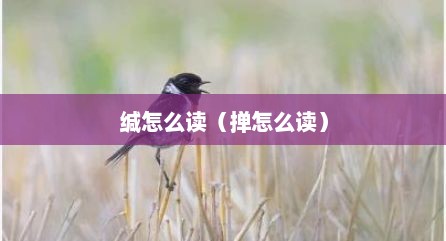 缄怎么读（掸怎么读）