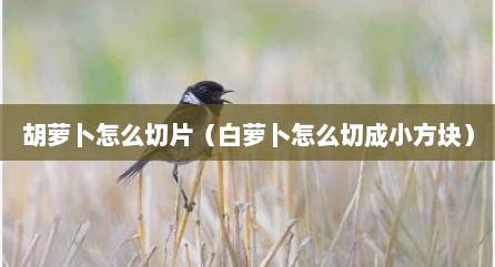 胡萝卜怎么切片（白萝卜怎么切成小方块）