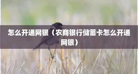 怎么开通网银（农商银行储蓄卡怎么开通网银）