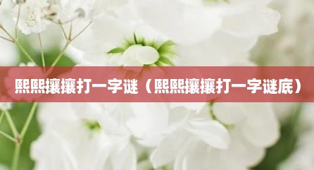 熙熙攘攘打一字谜（熙熙攘攘打一字谜底）