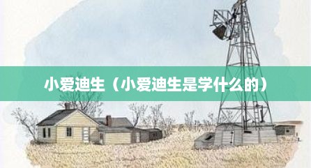 小爱迪生（小爱迪生是学什么的）