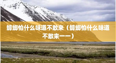 蟑螂怕什么味道不敢来（蟑螂怕什么味道不敢来一一）
