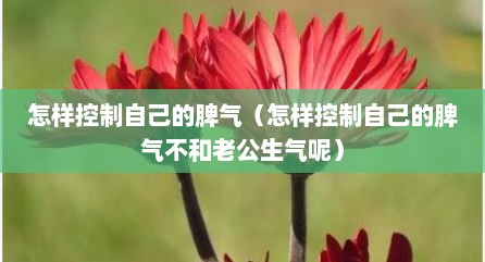 怎样控制自己的脾气（怎样控制自己的脾气不和老公生气呢）
