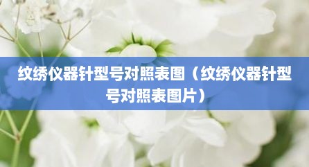 纹绣仪器针型号对照表图（纹绣仪器针型号对照表图片）