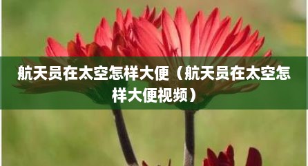 航天员在太空怎样大便（航天员在太空怎样大便视频）