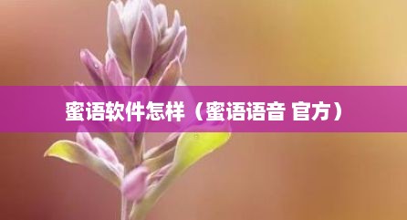 蜜语软件怎样（蜜语语音 官方）