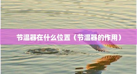 节温器在什么位置（节温器的作用）