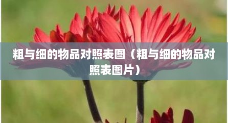 粗与细的物品对照表图（粗与细的物品对照表图片）