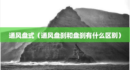 通风盘式（通风盘刹和盘刹有什么区别）