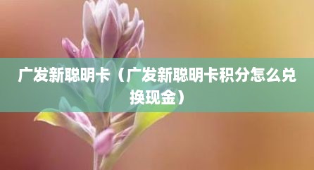 广发新聪明卡（广发新聪明卡积分怎么兑换现金）
