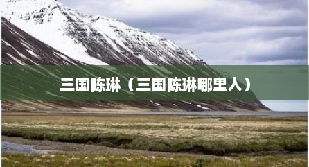 三国陈琳（三国陈琳哪里人）