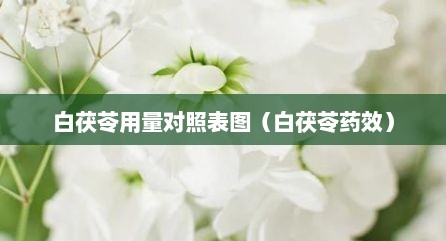 白茯苓用量对照表图（白茯苓药效）