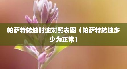 帕萨特转速时速对照表图（帕萨特转速多少为正常）
