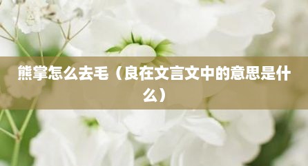 熊掌怎么去毛（良在文言文中的意思是什么）